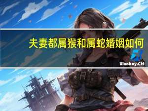 夫妻都属猴和属蛇婚姻如何