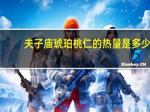夫子庙 琥珀桃仁的热量是多少