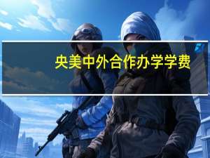 央美中外合作办学学费