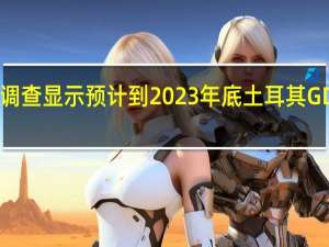 央行调查显示预计到2023年底土耳其GDP增速为3.7（与此前预测相同）