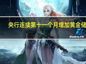 央行连续第十一个月增加黄金储备