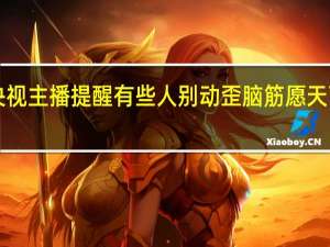 央视主播提醒有些人别动歪脑筋 愿天下无拐！