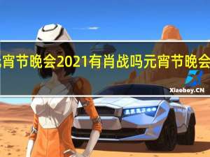 央视元宵节晚会2021有肖战吗 元宵节晚会2021节目单