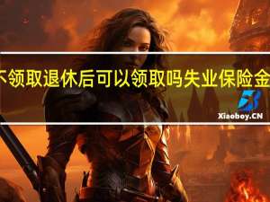 失业金不领取退休后可以领取吗　失业保险金每月几号到账