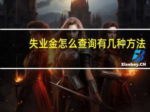 失业金怎么查询　有几种方法