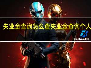 失业金查询怎么查 失业金查询个人账户