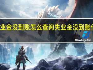 失业金没到账怎么查询　失业金没到账什么原因
