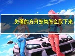 失落的方舟宠物怎么取下来