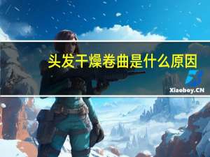 头发干燥卷曲是什么原因（头发干燥）