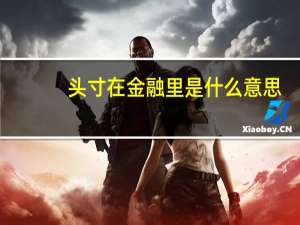 头寸在金融里是什么意思（头寸）