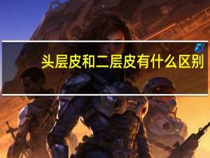 头层皮和二层皮有什么区别