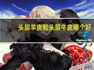 头层羊皮和头层牛皮哪个好
