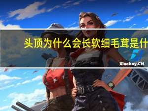 头顶为什么会长软细毛 茸是什么意思