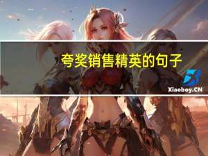 夸奖销售精英的句子