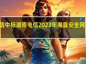 奇安信中标湖南电信2023年湘盾安全网关采购项目