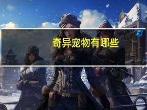 奇异宠物有哪些