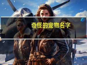 奇怪的宠物名字
