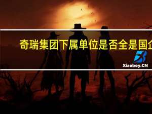 奇瑞集团下属单位是否全是国企