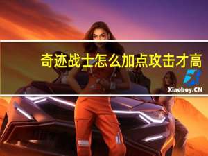 奇迹战士怎么加点攻击才高（奇迹战士怎么加点）