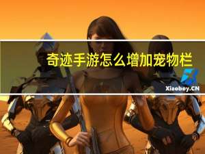 奇迹手游怎么增加宠物栏