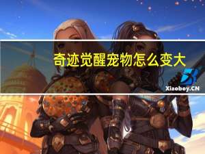 奇迹觉醒宠物怎么变大