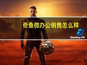 奇鱼微办公销售怎么样