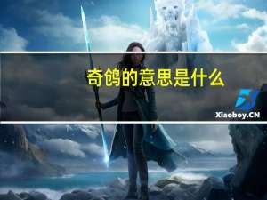 奇鸧的意思是什么