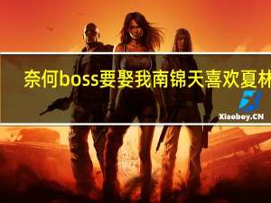 奈何boss要娶我南锦天喜欢夏林吗