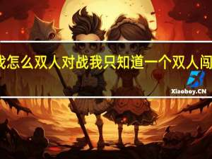 奈克瑟斯游戏怎么双人对战 我只知道一个双人闯关双人对战是哪个
