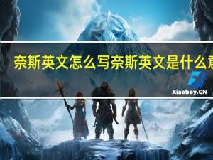 奈斯英文怎么写 奈斯英文是什么意思（奈斯英文）