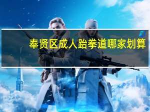奉贤区成人跆拳道哪家划算