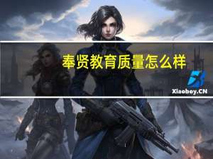 奉贤教育质量怎么样