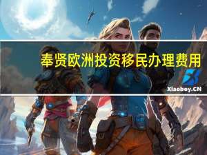 奉贤欧洲投资移民办理费用