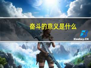 奋斗的意义是什么（奋斗的含义是什么）