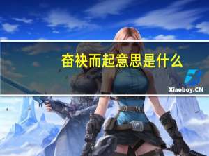 奋袂而起意思是什么