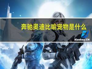 奔驰奥迪比喻宠物是什么