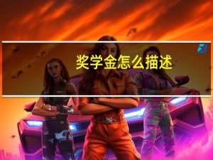 奖学金怎么描述