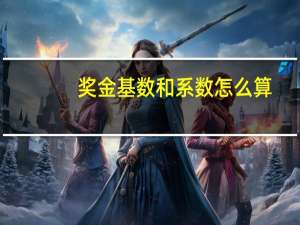 奖金基数和系数怎么算