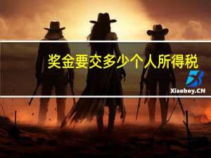 奖金要交多少个人所得税