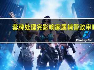 套牌处理完影响家属辅警政审吗