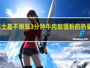 奥土基 不倒翁 3分钟牛肉咖喱粉的热量是多少