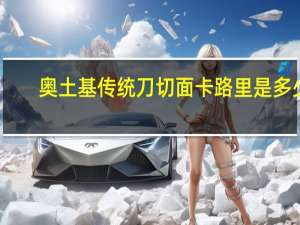 奥土基 传统刀切面卡路里是多少