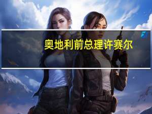 奥地利前总理许赛尔：开放市场是双赢的 美国市场保护的行为行不通