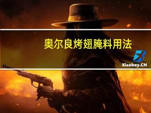 奥尔良烤翅腌料用法
