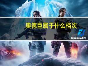 奥德臣属于什么档次