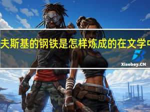 奥斯特洛夫斯基的钢铁是怎样炼成的在文学中属于什么类别