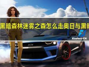 奥日与黑暗森林迷雾之森怎么走 奥日与黑暗森林终极版