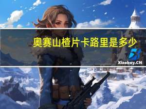 奥赛 山楂片卡路里是多少