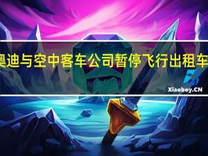 奥迪与空中客车公司暂停飞行出租车的开发