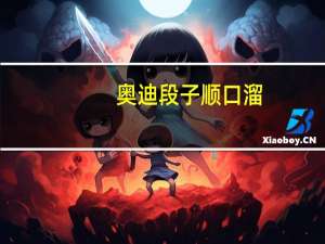 奥迪段子顺口溜